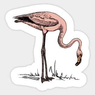 Cute pink flamingo print gift ideas Sticker